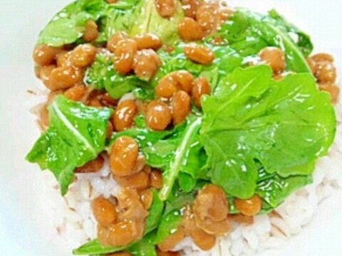 納豆の食べ方-ルッコラ♪